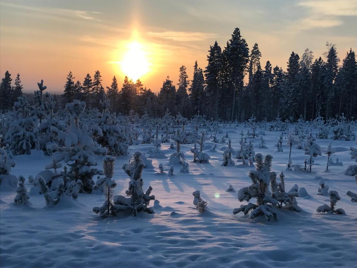 Soppela Retreat At The Arctic Circle Kemijärvi Exterior foto